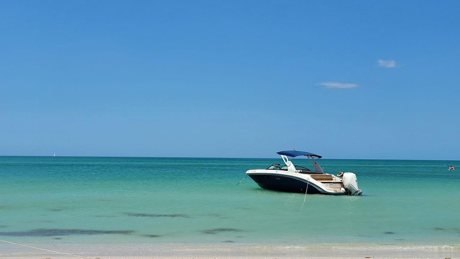 A Sea Ray SDX 270 private boat tour anchored near a white sand beach in turquoise Southwest Florida water