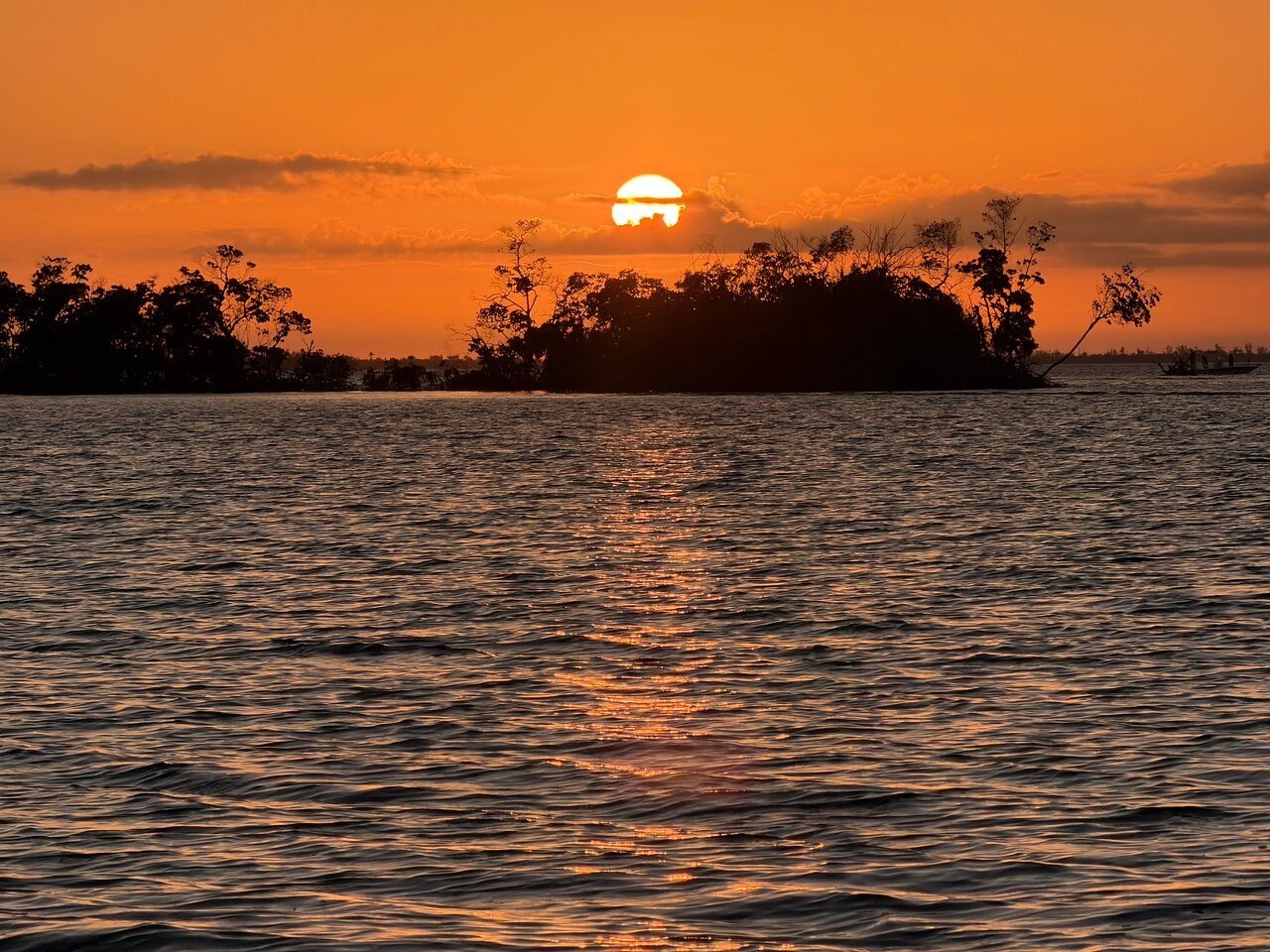 A vivid Southwest Florida sunset over the water with a mangrove island silhouette